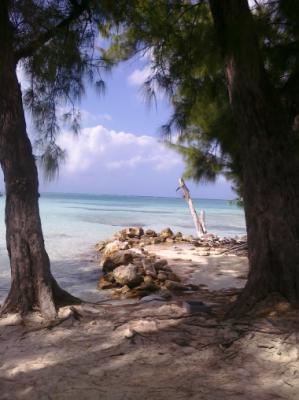 Near the water's edge