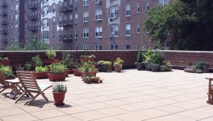 The Work of Greenthumbs Patio Garden